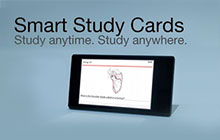 Smart Study Cards
